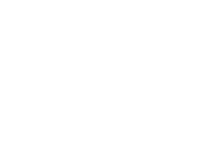 logo_white_v2